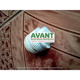 [AVGD00000169] End cap/plug 1&quot; male threaded gi/pvc