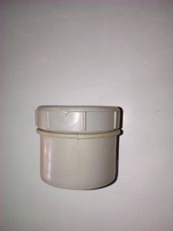 [AVGD00000634] End cap/plug 2&quot; pvc